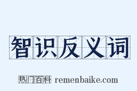 智识反义词是什么意思的图片